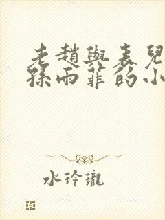 老赵与表儿媳妇孙雨菲的小说孙雨