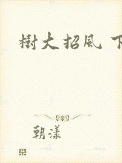 树大招风 下载