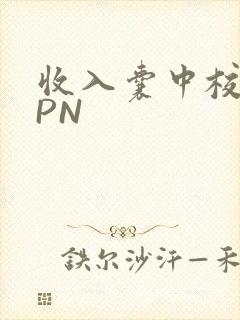 收入囊中校园HPN