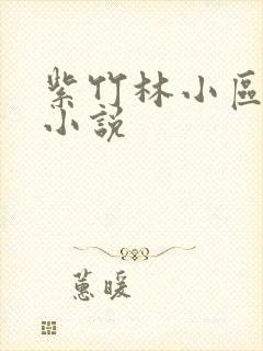 紫竹林小区快递小说