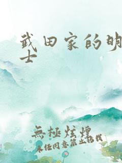 武田家的明国武士