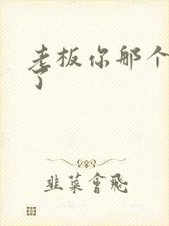 老板你那个太长了