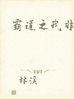 霸道之我非英雄