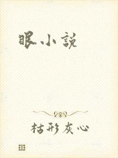眼小说