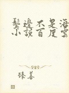 鬓边不是海棠红小说百度云