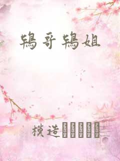 鸨哥鸨姐