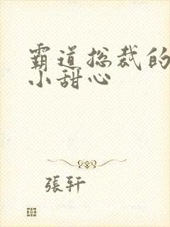 霸道总裁的宠爱小甜心