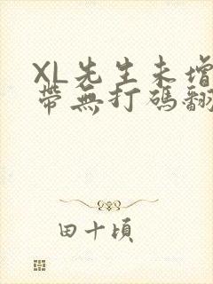 XL先生未增删带无打码翻译
