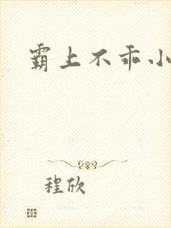 霸上不乖小逃妻