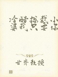 冷酷总裁小小老婆我只要你