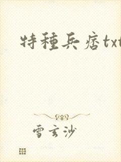 特种兵痞txt