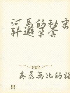 河马的秘密河文轩避孕套