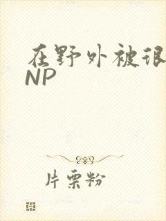 在野外被很多人NP