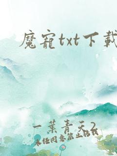 魔宠txt下载