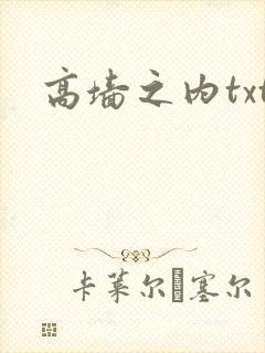 高墙之内txt