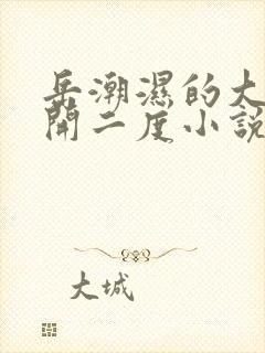 岳潮湿的大肥梅开二度小说