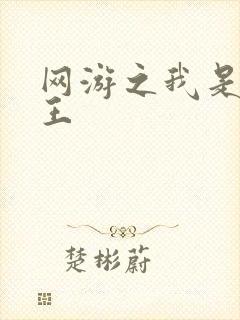 网游之我是海贼王