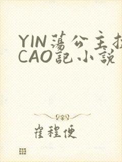 YIN荡公主挨CAO记小说