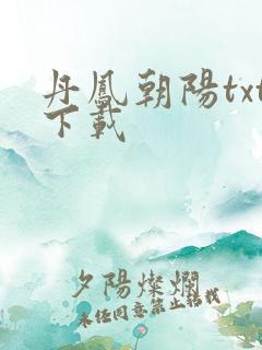 丹凤朝阳txt下载