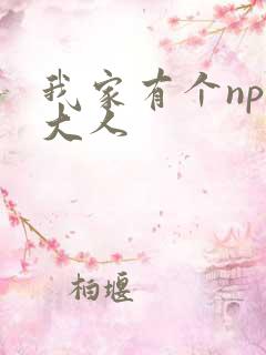 我家有个npc大人