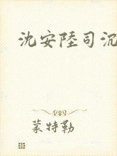 沈安陆司沉小说