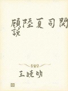 顾陆夏司闵郁小说