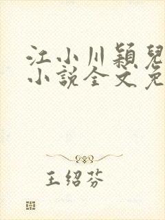 江小川颖儿穿越小说全文免费阅读