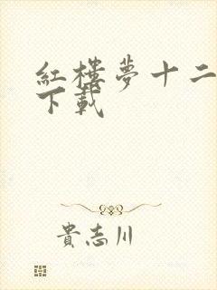 红楼梦十二金钗下载