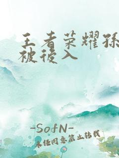 王者荣耀孙尚香被后入