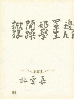 掀开奶罩边躁狠狠躁学生h的小说