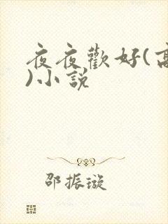 夜夜欢好(高h)小说