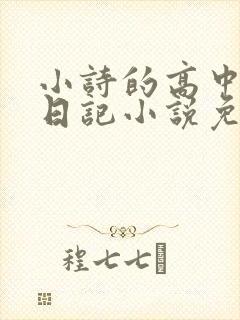 小诗的高中成长日记小说免费阅读