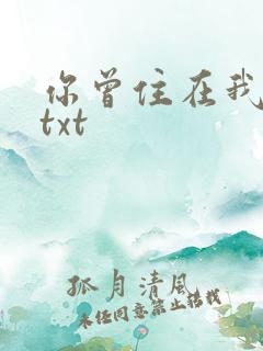 你曾住在我心上txt