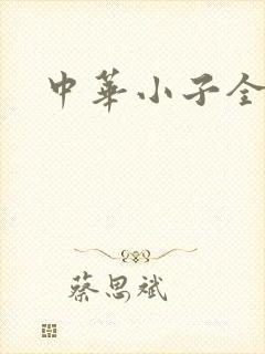 中华小子全集