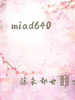 miad640