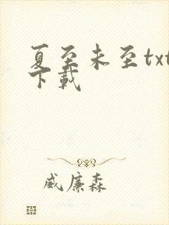 夏至未至txt下载