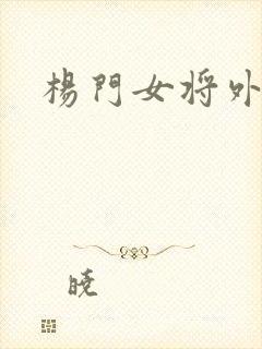 杨门女将外传