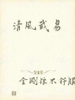清风武易