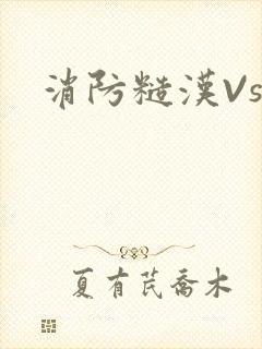 消防糙汉Vs