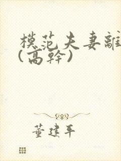 模范夫妻离婚了(高干)