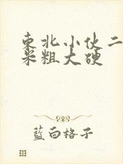 东北小伙二十厘米粗大硬