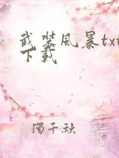 武装风暴txt下载