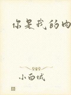 你是我的肉便器