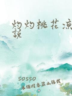 灼灼桃花凉 小说