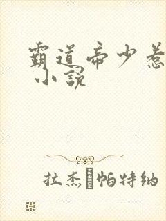 霸道帝少惹不得 小说