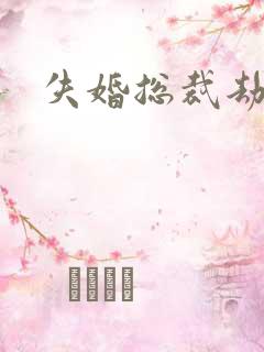 失婚总裁劫前妻