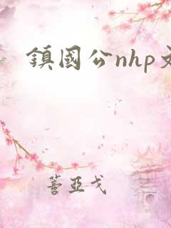 镇国公nhp文