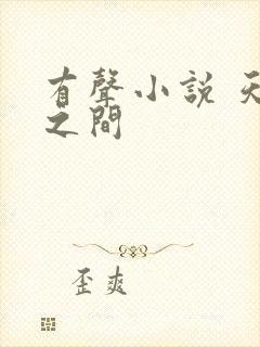 有声小说 天地之间