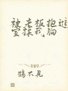 被老板抱进办公室揉我胸