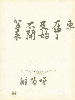 等不及在车里就来开始了